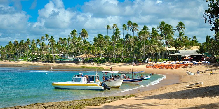 @Vitoriano Junior/Shutterstock - Praia do Forte / Bahia